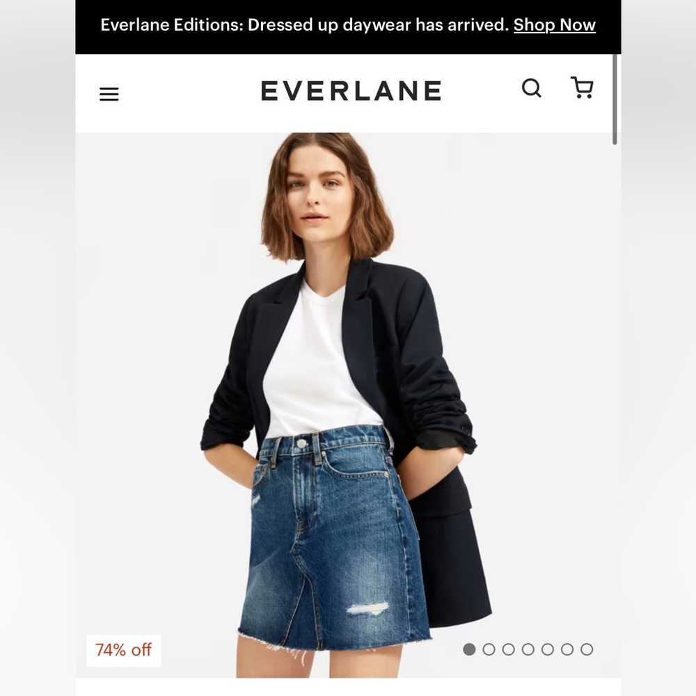 Everlane Denim Reconstructed skirt - Picture 7 of 7